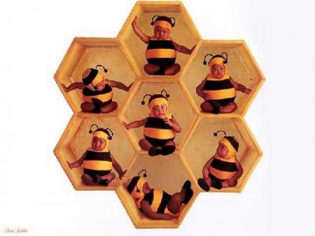 les ptites abeilles